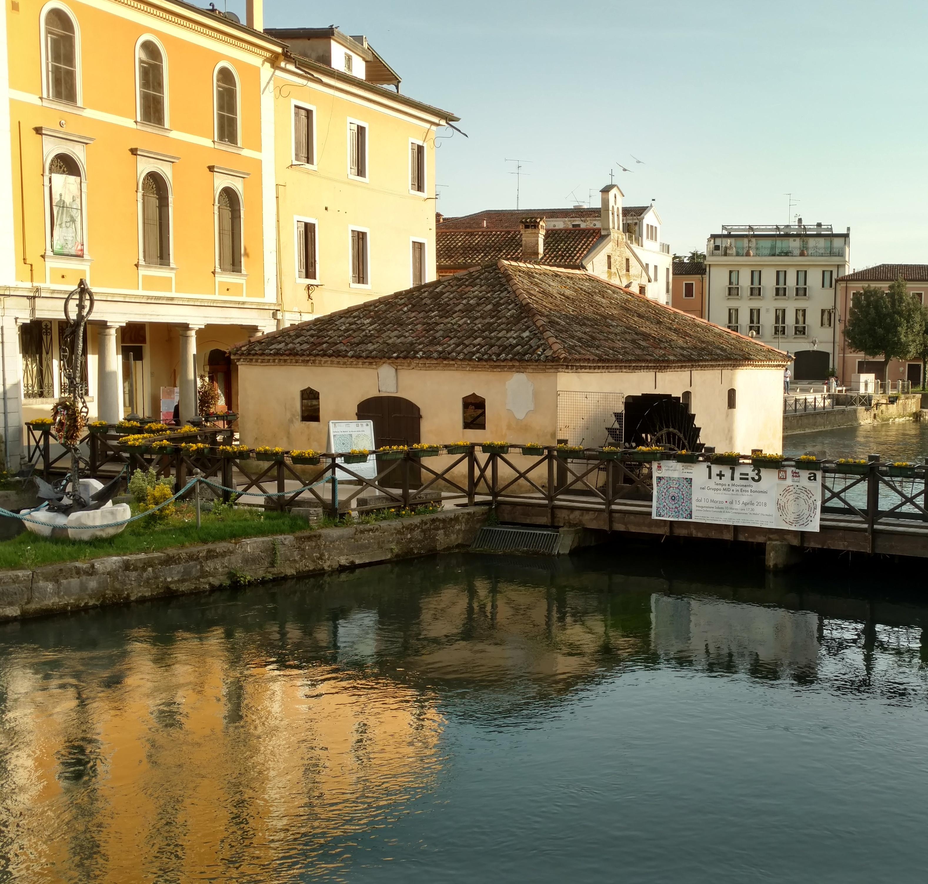 psichiatria psicoterapia portogruaro